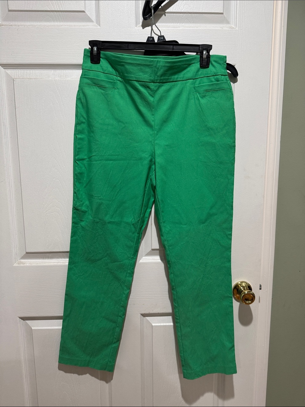 Kim Rogers Bright Green Pull-On Pants 14S